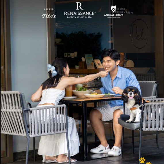 Bark & Brunch: Pawfect Weekend 🐾