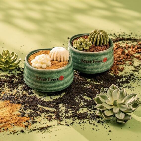 Meet Fresh Chan Road