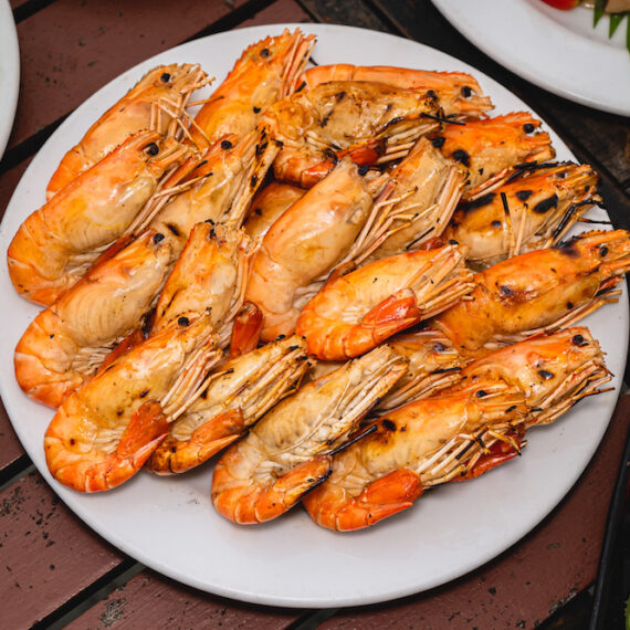 White Orchid Twilight Iconsiam