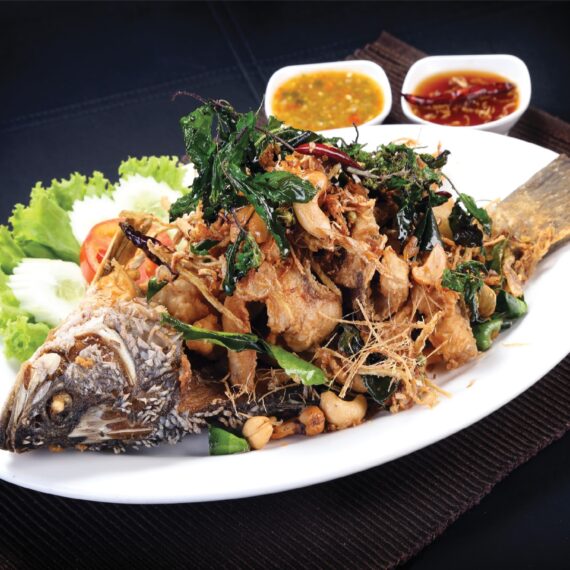 Samsen Villa Chiang Mai