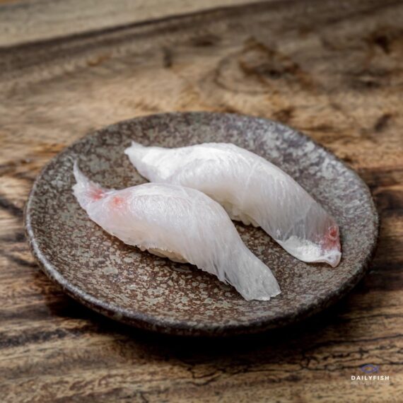 Dailyfish Omakase (Chonburi)
