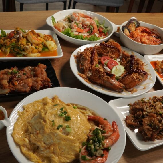 Merry Vibes Privacy Craft