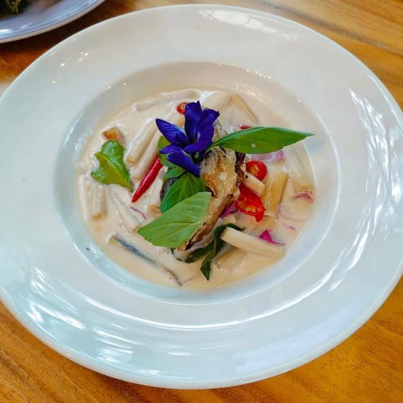 Aliv Cafe & Bar Brasseries