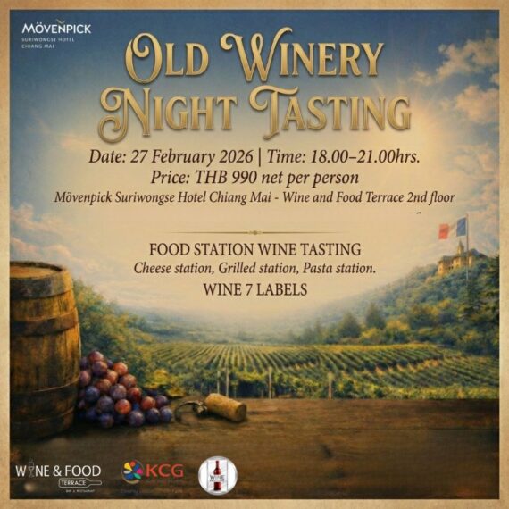 Old winery night Tasting - Wine & Food Terrace