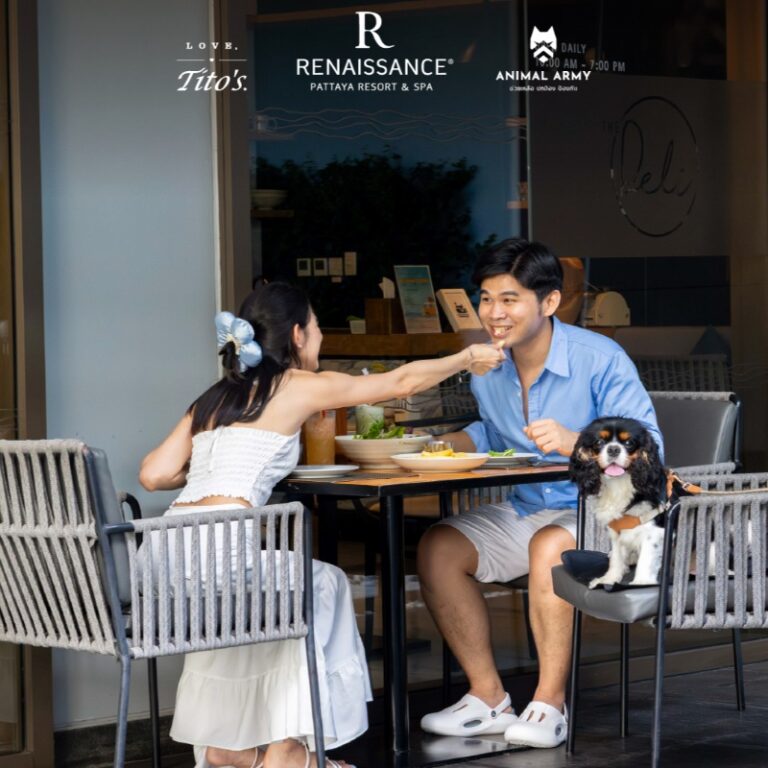 🐾🌿 Dog Brunch Escape – A Pawfect Weekend Getaway