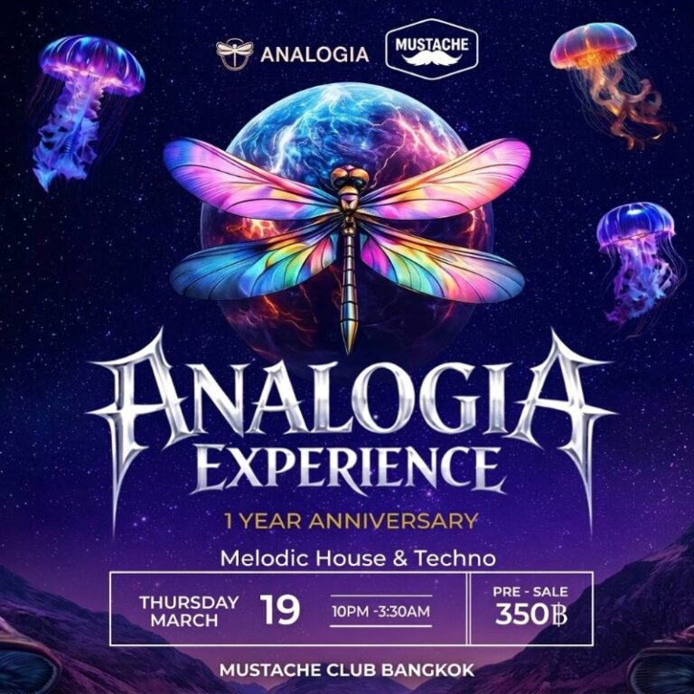 Analogia Experience - 1 YEAR ANNIVERSARY🎉