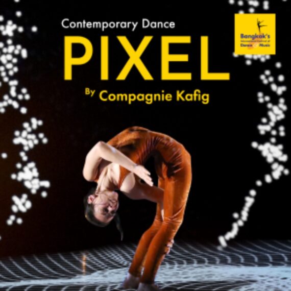 PIXEL by Compagnie Kafig