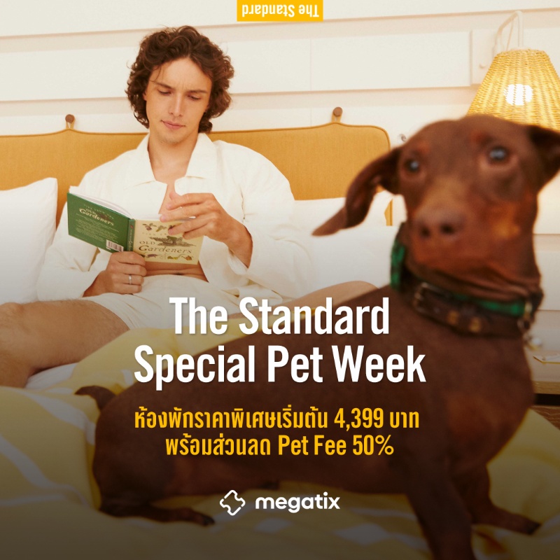 The Standard Special Pet Week 2026 | The Standard, Hua Hin