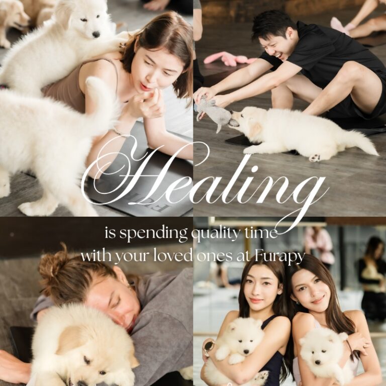 FURAPY Puppy Yoga Therapy